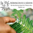 Echte Mimose Samen (Mimosa Pudica) mit hoher Keimrate -  vielblütige & bewegungsfrohe Mimosen - HappySeed