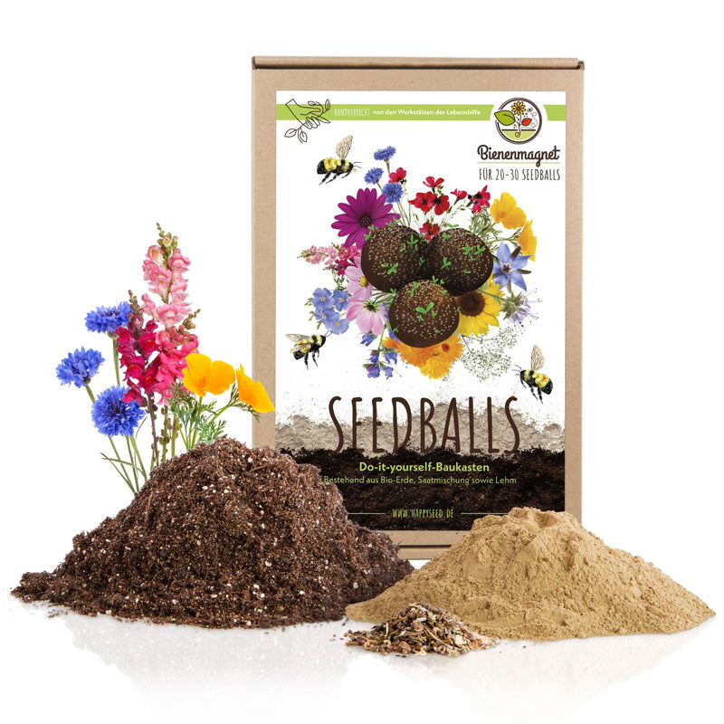 DIY Set für Samenbomben - selber machen für eine bunte Bienenweide für 20-30 Seedbombs - HappySeed