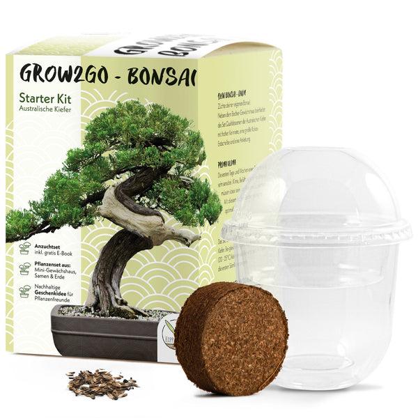 GROW2GO Australische Kiefer Bonsai Starter Kit