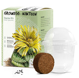 GROW2GO Kakteen Starter Kit - Mini-Gewächshaus, Kaktus Samen & Erde (Echter Tigerrachen) - HappySeed