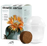 GROW2GO Kakteen Starter Kit - Mini-Gewächshaus, Kaktus Samen & Erde (Lebender Granit) - HappySeed