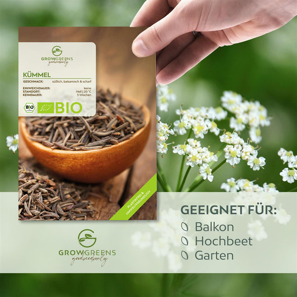 BIO Kümmelsamen - Küchenkräuter Saatgut aus biologischem Anbau (400 Korn) - HappySeed