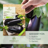 BIO Aubergine Samen (Black Beauty) - Auberginen Saatgut aus biologischem Anbau (25 Korn) - HappySeed