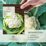 BIO Blumenkohl Samen (Schneeball) - Blumenkohl Saatgut aus biologischem Anbau (35 Korn) - HappySeed