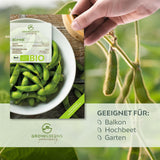 BIO Bohnen Samen (Edamame) - Bohne Saatgut aus biologischem Anbau (12 Korn) - HappySeed