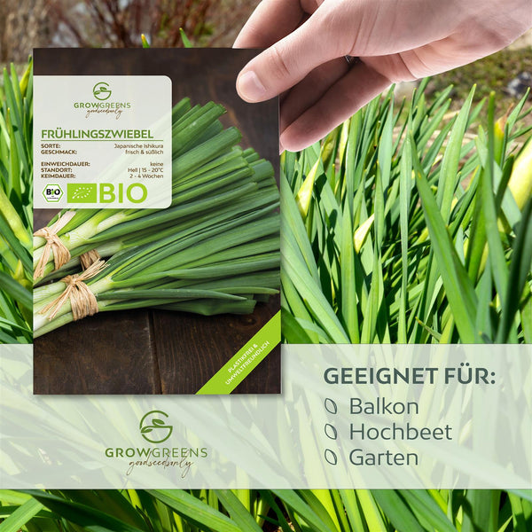BIO Frühlingszwiebel Samen (Japanische Ishikura) - Frühlingszwiebeln Saatgut aus biologischem Anbau (75 Korn) - HappySeed