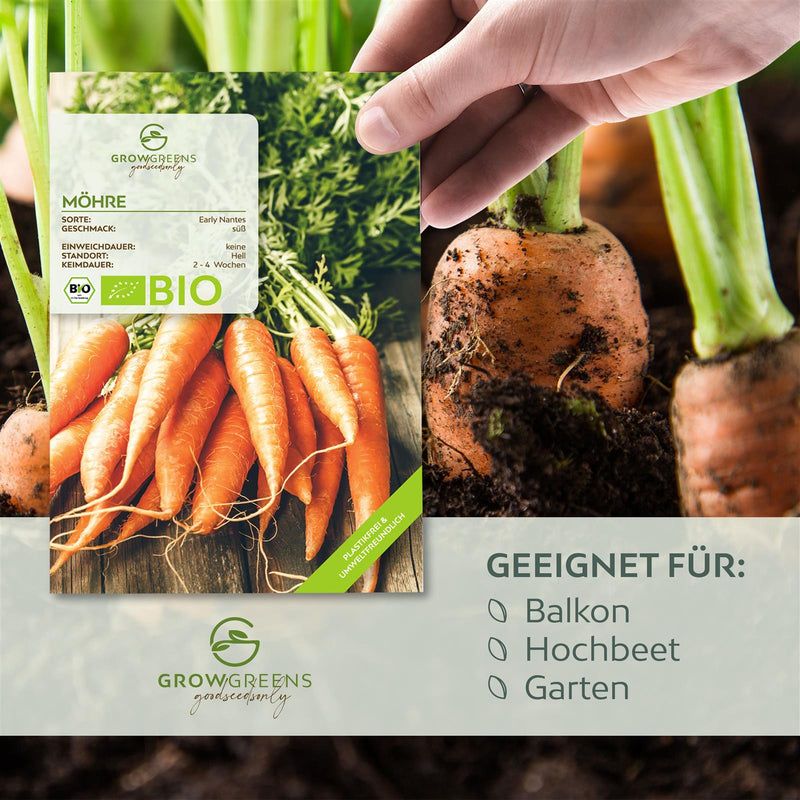BIO Karotten Samen (Early Nantes) - Möhren Saatgut aus biologischem Anbau (500 Korn) - HappySeed