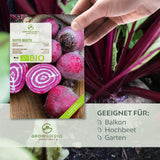 BIO Rote Beete Samen (Chioggia) - Rote Bete Saatgut aus biologischem Anbau (35 Korn)