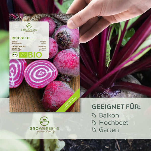 BIO Rote Beete Samen (Chioggia) - Rote Bete Saatgut aus biologischem Anbau (35 Korn) - HappySeed