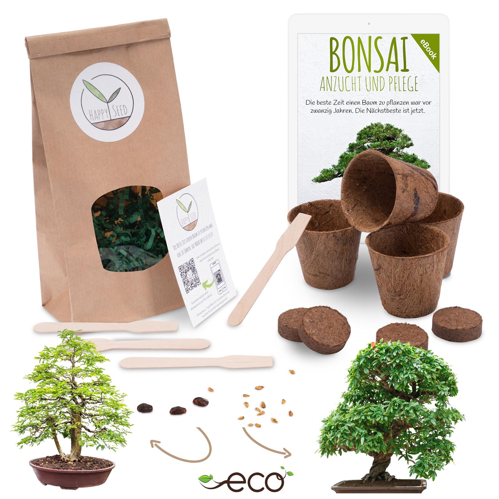 Bonsai Starter Kit Anzuchtset inkl. GRATIS eBook