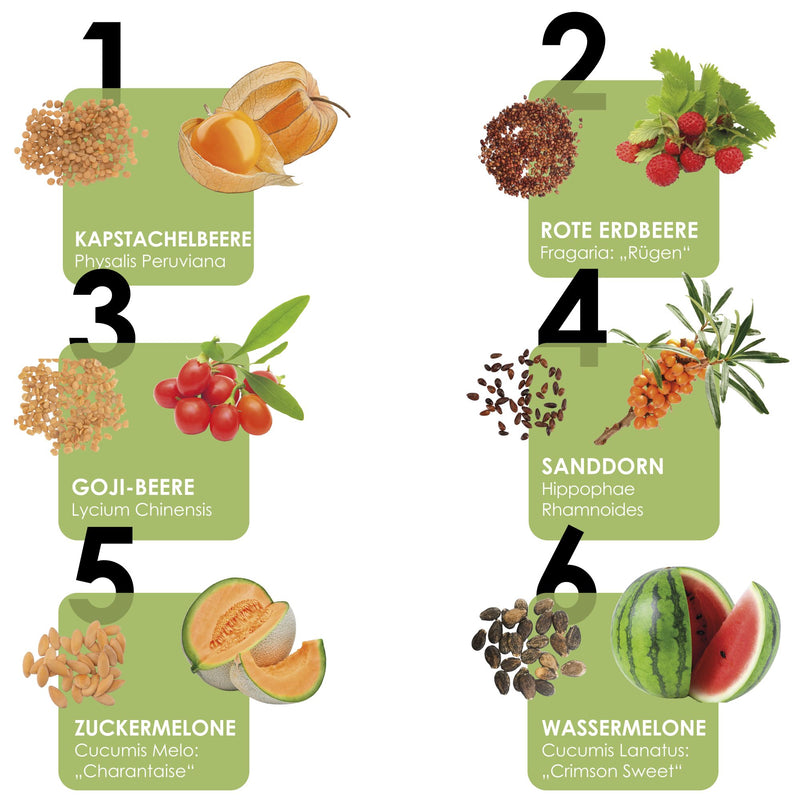 Obst Samen Set mit 6 exotischen Sorten - HappySeed