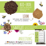 DIY Set für Samenbomben - selber machen für eine bunte Bienenweide für 20-30 Seedbombs - HappySeed