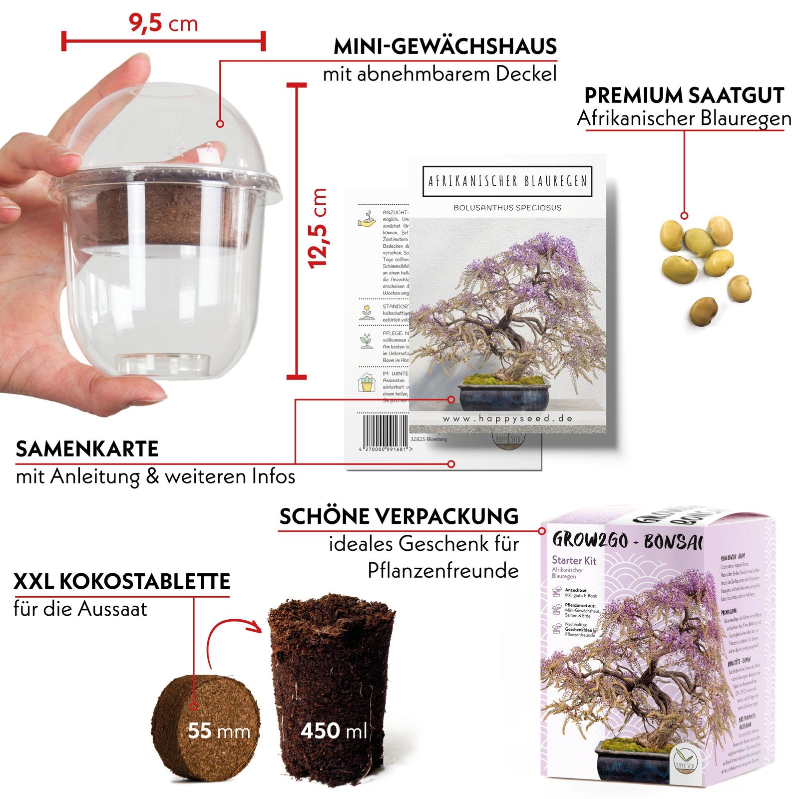 GROW2GO Afrikanischer Blauregen Bonsai Starter Kit