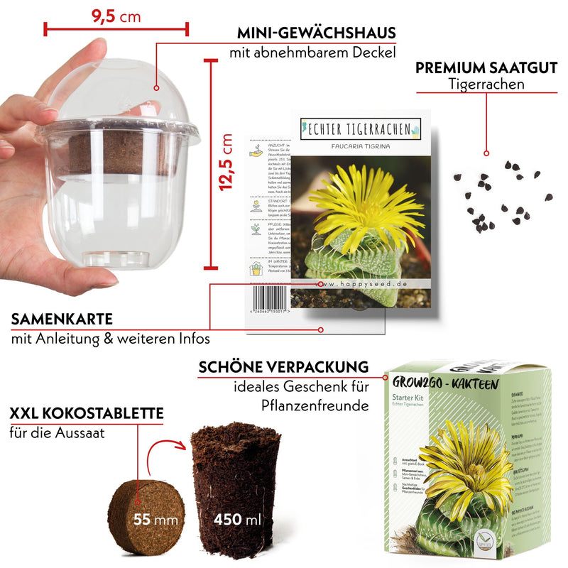 GROW2GO Kakteen Starter Kit - Mini-Gewächshaus, Kaktus Samen & Erde (Echter Tigerrachen) - HappySeed