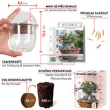 GROW2GO Kakteen Starter Kit Anzuchtset - Pflanzset aus Mini-Gewächshaus, Kaktus Samen & Erde (Wüstenrose)