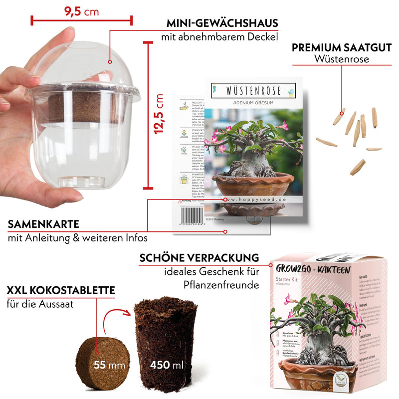 GROW2GO Kakteen Starter Kit Anzuchtset - Pflanzset aus Mini-Gewächshaus, Kaktus Samen & Erde (Wüstenrose)