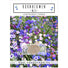 Kornblumen Samen (Centaurea cyanus) - Mix, 1000 Korn, 80 cm - HappySeed