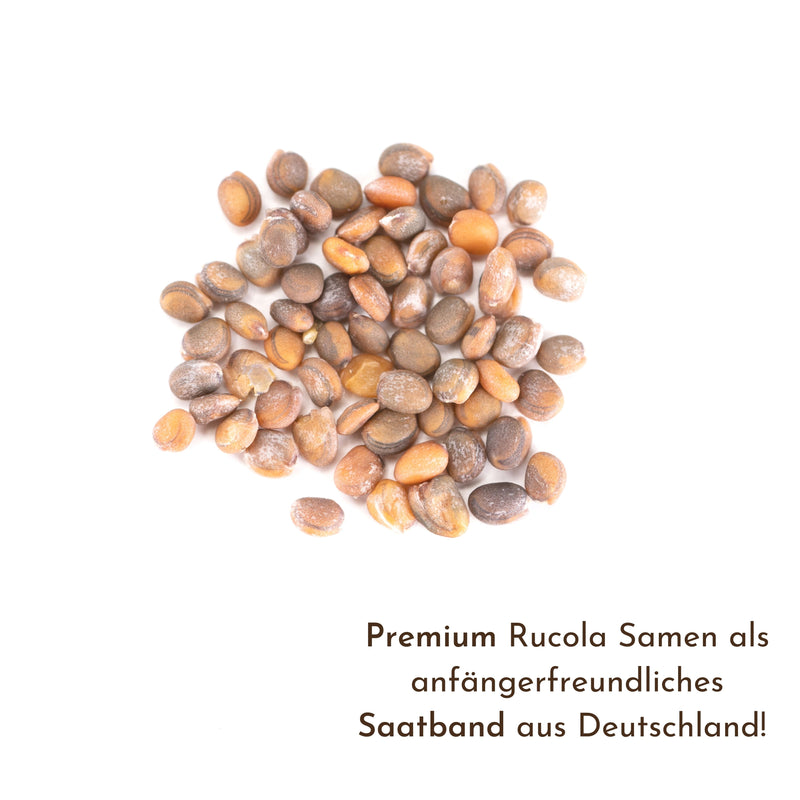 5m Saatband mit Rucola Samen - Eruca sativa - HappySeed