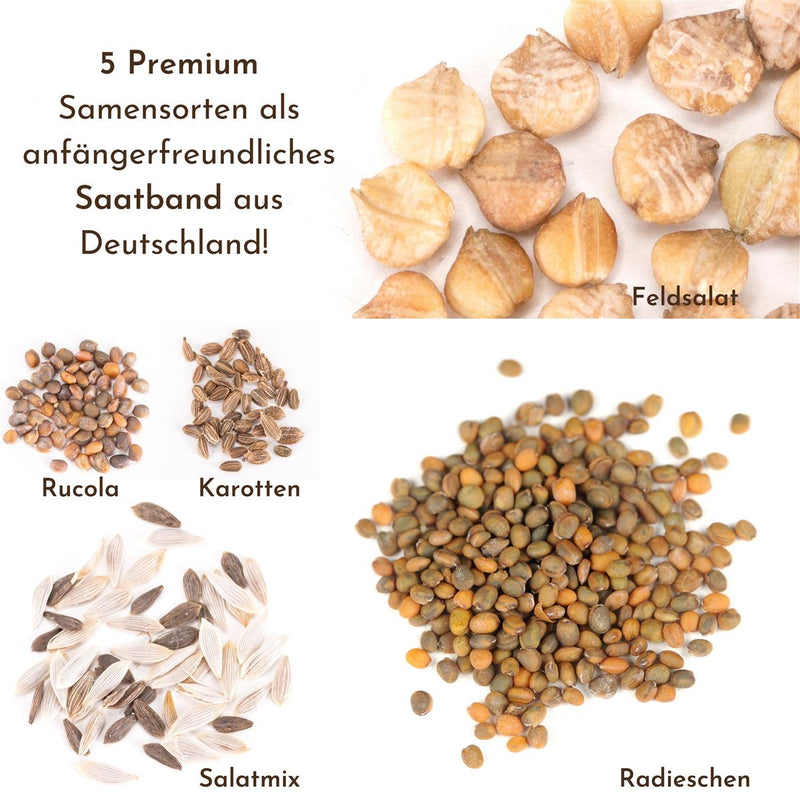 5m Saatband bestehend aus Karotten, Radieschen, Rucola, Feldsalat & Pflücksalat Samen (5er Set) - HappySeed