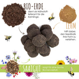 100er Samenbomben für eine bunte Bienenweide - Farbenfroh & nektarreich für Bienen und Schmetterlinge