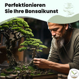 Bonsai Werkzeug-Set Profi 4-teilig aus Stahl mit praktischer Aufbewahrungstasche