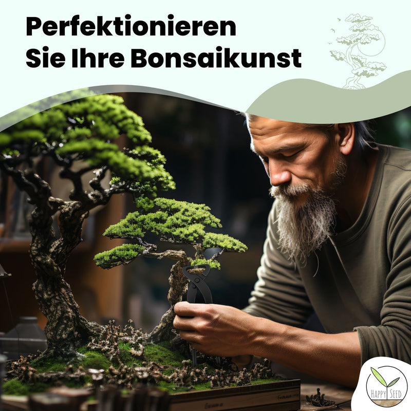 Bonsai Werkzeug-Set Profi 4-teilig aus Stahl mit praktischer Aufbewahrungstasche