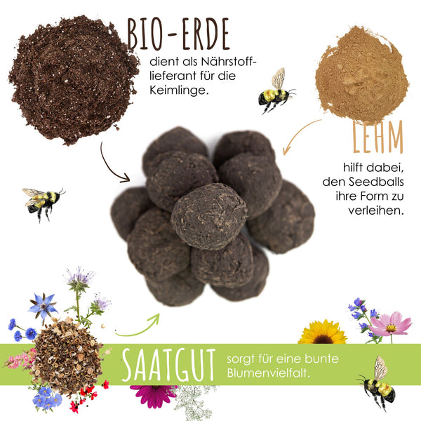 50x  Samenbomben für eine bunte Bienenweide - Farbenfroh & nektarreich für Bienen und Schmetterlinge