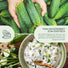 BIO Gurken Samen (Vorgebirgstraube) - Einlegegurken Saatgut aus biologischem Anbau (10 Korn) - HappySeed