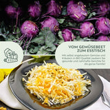 BIO Lila Kohlrabi Samen (Milan Purple) - Kohlrabi Saatgut aus biologischem Anbau (300 Korn) - HappySeed