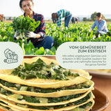 BIO Mangold Samen (Schweizer) - Mangold Saatgut aus biologischem Anbau (75 Korn) - HappySeed