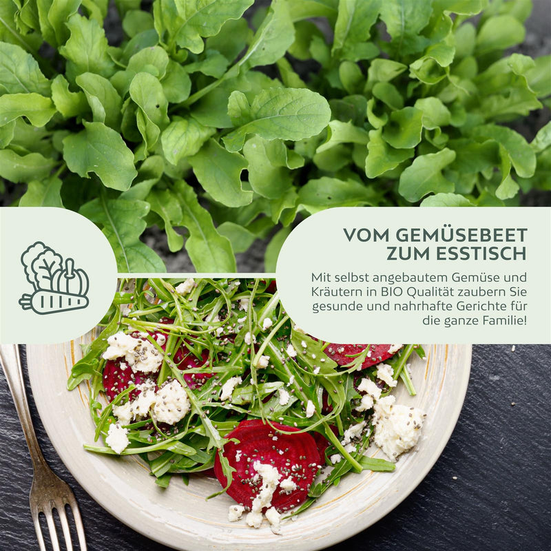 BIO Rucola Samen (Eruca sativa) - Rauke Saatgut aus biologischem Anbau (500 Korn) - HappySeed