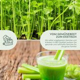 BIO Selleriesamen (Tall Utah) - Staudensellerie Saatgut aus biologischem Anbau (250 Korn) - HappySeed