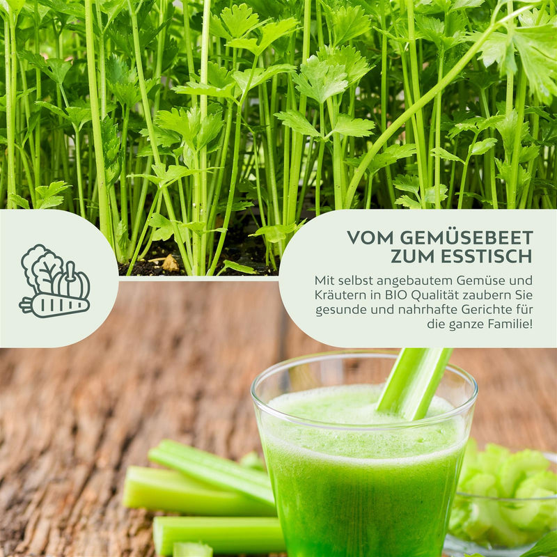 BIO Selleriesamen (Tall Utah) - Staudensellerie Saatgut aus biologischem Anbau (250 Korn) - HappySeed