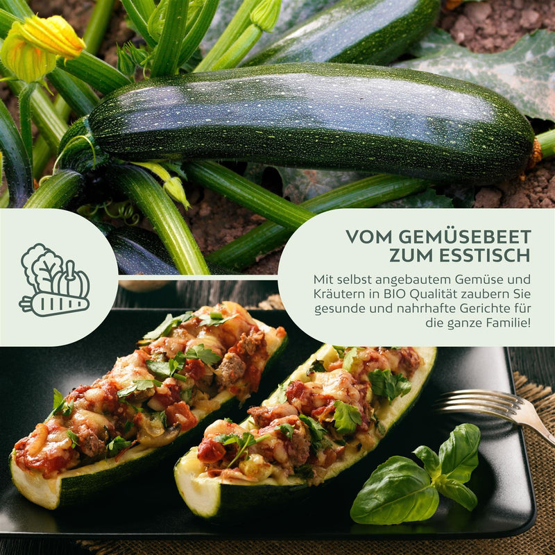 BIO Zucchini Samen (Nero di Milano) - Zucchini Saatgut aus biologischem Anbau (5 Korn)