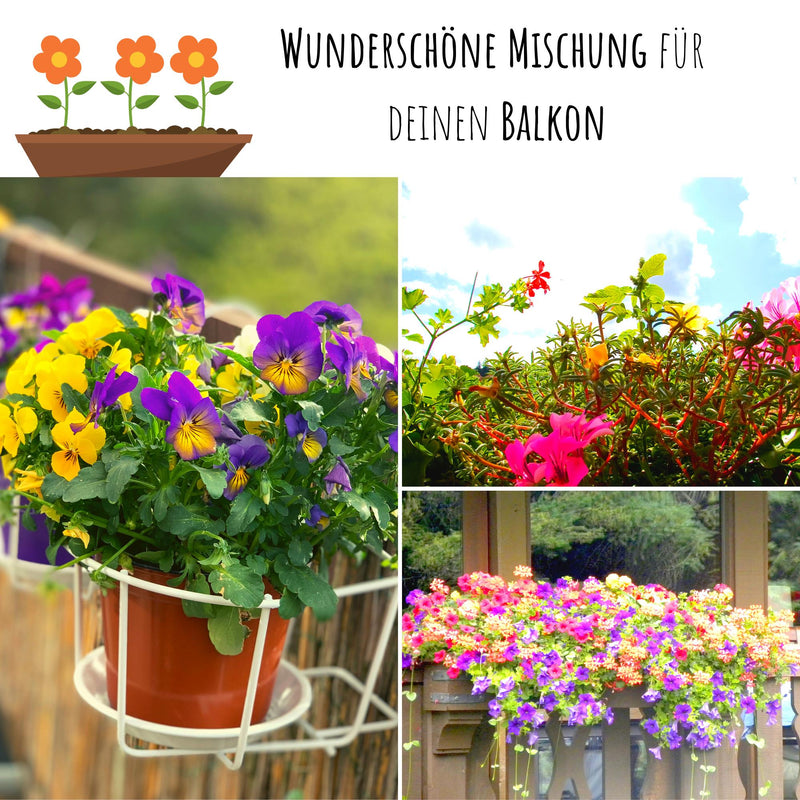 Blumensamen Balkonkasten Mischung - Farbenfroher Blumen Mix - HappySeed
