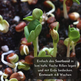 5m Saatband bestehend aus Karotten, Radieschen, Rucola, Feldsalat & Pflücksalat Samen (5er Set) - HappySeed