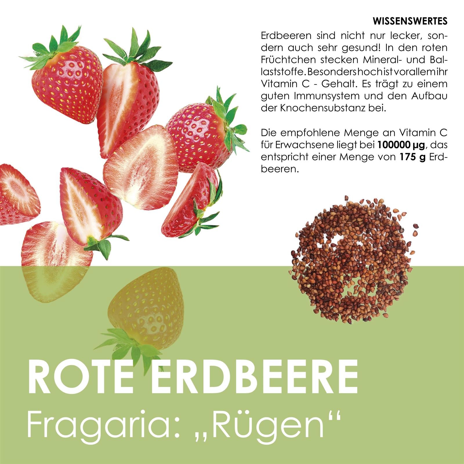 Erdbeeren Samen