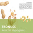 Erdnuss Samen - Arachis hypogeae - HappySeed