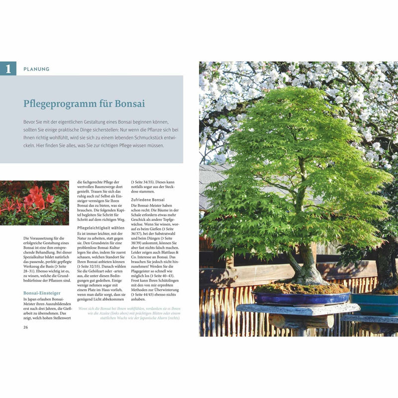 Bonsai ziehen, gestalten und pflegen - Johann Kastner (Buch) - HappySeed