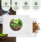 BIO Mangold Samen (Schweizer) - Mangold Saatgut aus biologischem Anbau (75 Korn) - HappySeed