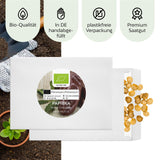 BIO Paprika Samen (Sweet Chocolate) - Paprika Saatgut aus biologischem Anbau (10 Korn) - HappySeed