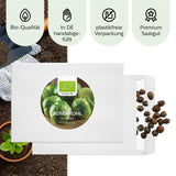BIO Rosenkohl Samen (Groninger) - Rosenkohl Saatgut aus biologischem Anbau (30 Korn) - HappySeed