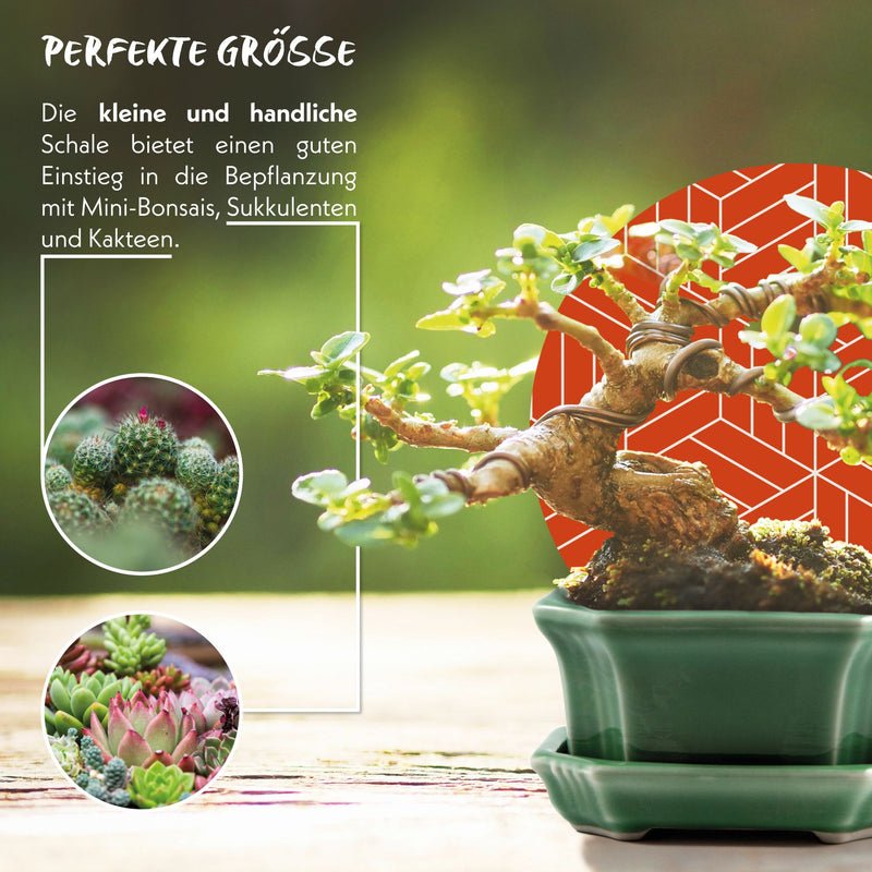 Bonsai Schale aus Keramik mit Untersetzer in Jadegrün