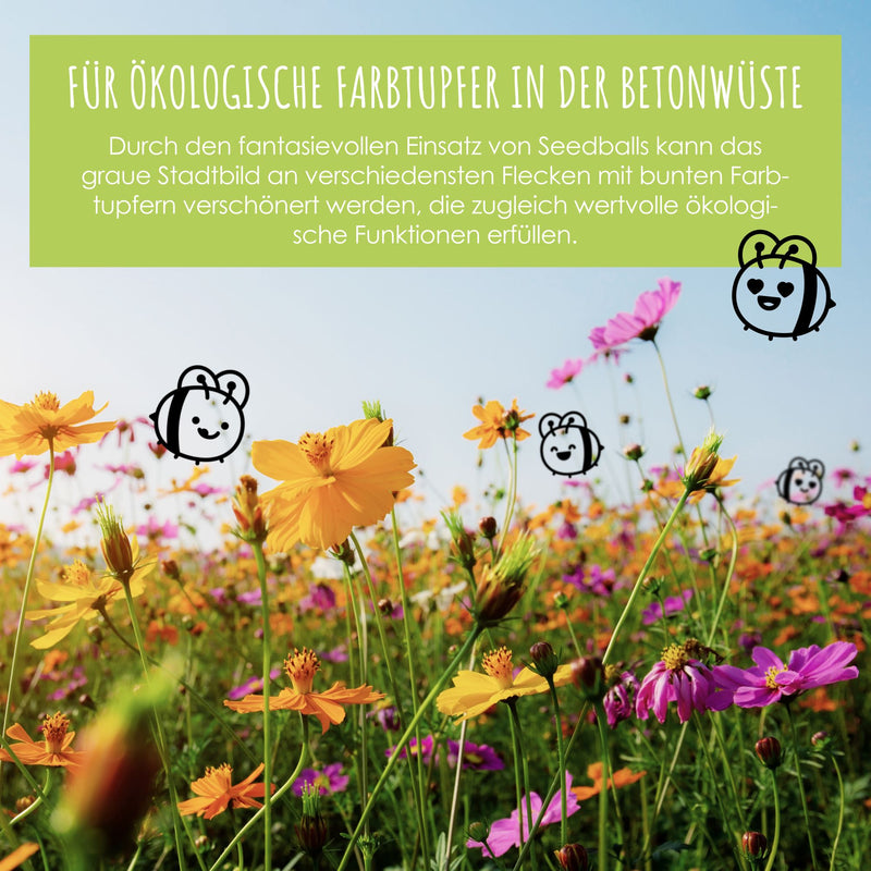 12x Samenbomben für eine bunte Bienenweide - Farbenfroh & nektarreich für Bienen und Schmetterlinge - HappySeed