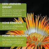 GROW2GO Kakteen Starter Kit - Mini-Gewächshaus, Kaktus Samen & Erde (Lebender Granit) - HappySeed