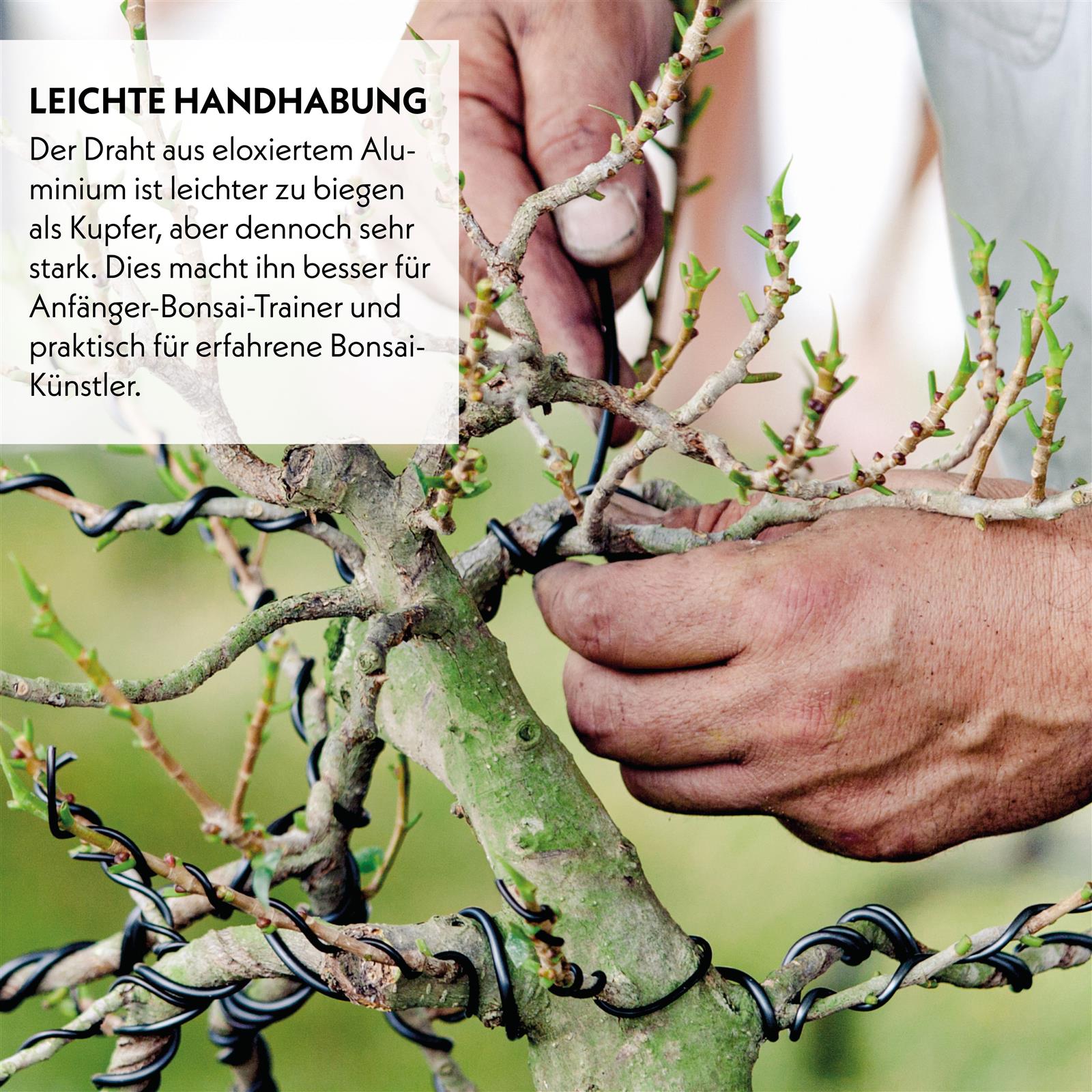 Bonsai Draht aus eloxiertem Aluminium, Schwarz – HappySeed