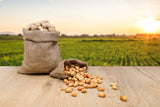 Erdnuss Samen - Arachis hypogeae