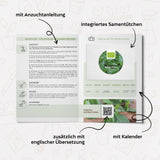 BIO Thai Basilikum Samen - Küchenkräuter Saatgut aus biologischem Anbau (250 Korn) - HappySeed