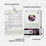 BIO Lila Kohlrabi Samen (Milan Purple) - Kohlrabi Saatgut aus biologischem Anbau (300 Korn) - HappySeed