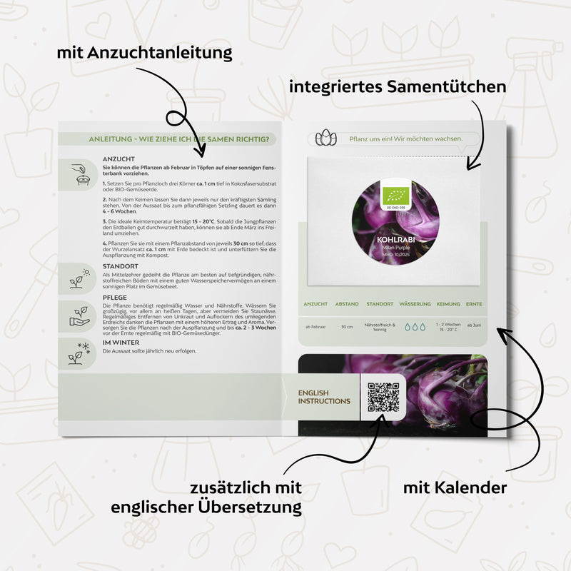BIO Lila Kohlrabi Samen (Milan Purple) - Kohlrabi Saatgut aus biologischem Anbau (300 Korn) - HappySeed